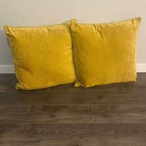 Urban Barn Clooney Cushions Throw pillows in Dijon 24” x 24” set of 2